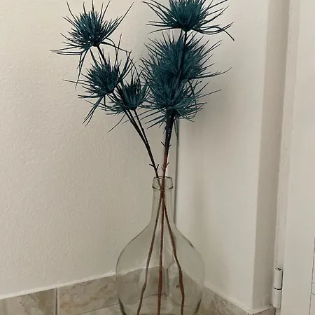 Apartment Dinka *