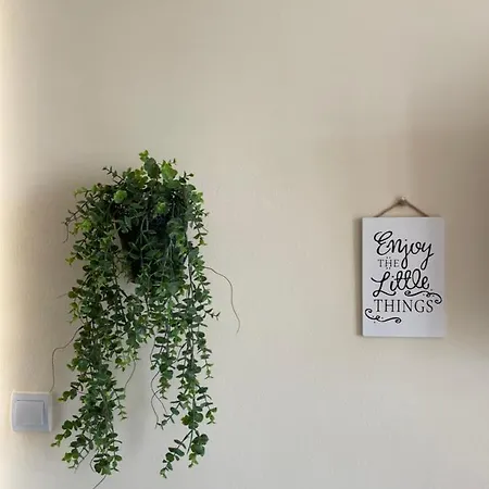 Apartment Dinka