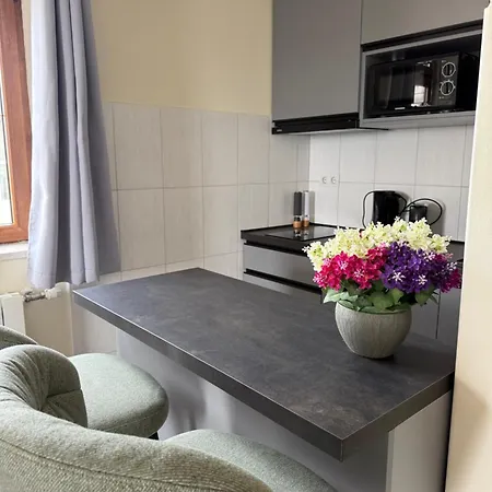 Dinka Apartman *