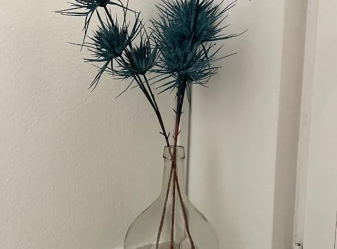 アパート Dinka *